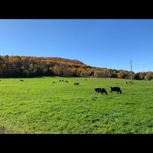 Meet your Posher, Guillaume